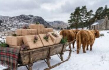 christmas sleigh